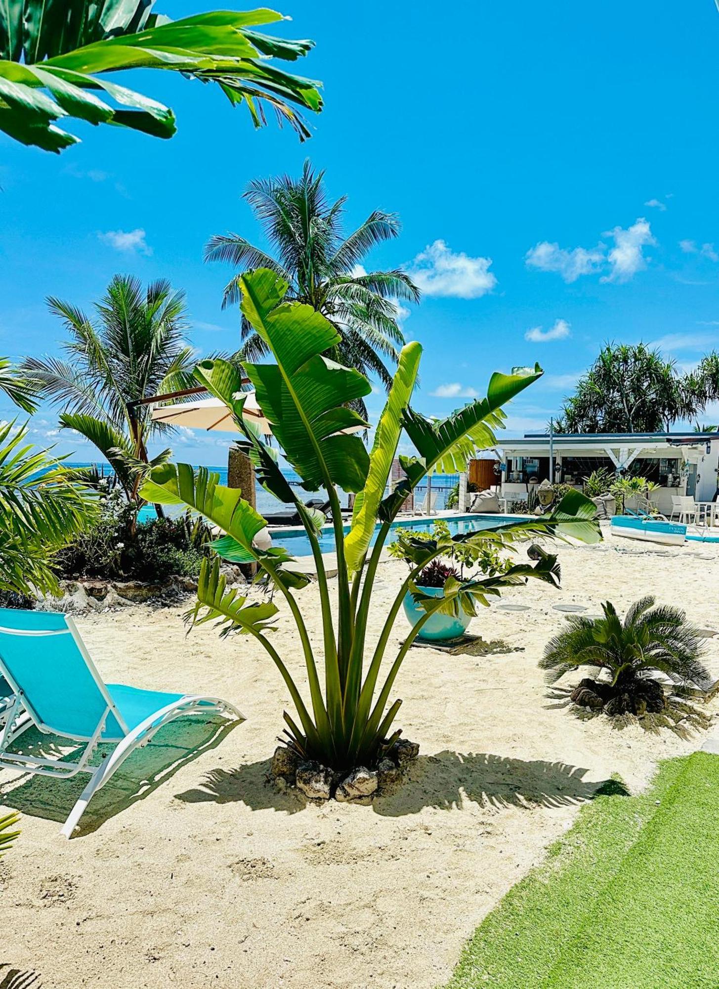Pension Irivai Appartement Puatou 1 Chambre Bord De Mer Uturoa Exterior foto